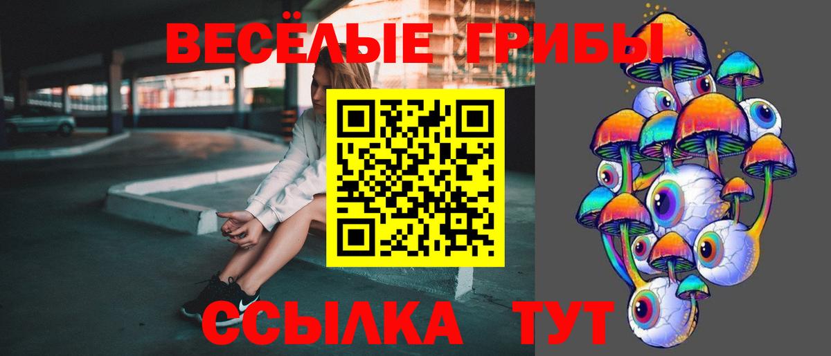 Псилоцибиновые грибы Cubensis  Галлюциногенные грибы мицелий  Ставрополь  Вход с VPN 